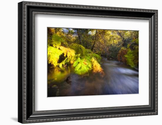 Sweet Automn-Viviane Fedieu Daniel-Framed Photographic Print