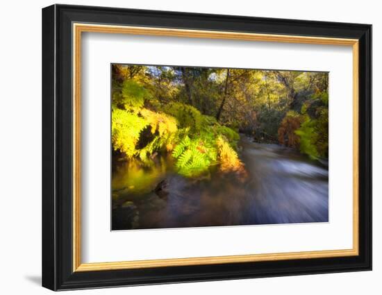 Sweet Automn-Viviane Fedieu Daniel-Framed Photographic Print