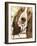 Sweet Basset Hound-Jin Jing-Framed Art Print