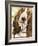 Sweet Basset Hound-Jin Jing-Framed Art Print