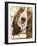 Sweet Basset Hound-Jin Jing-Framed Art Print