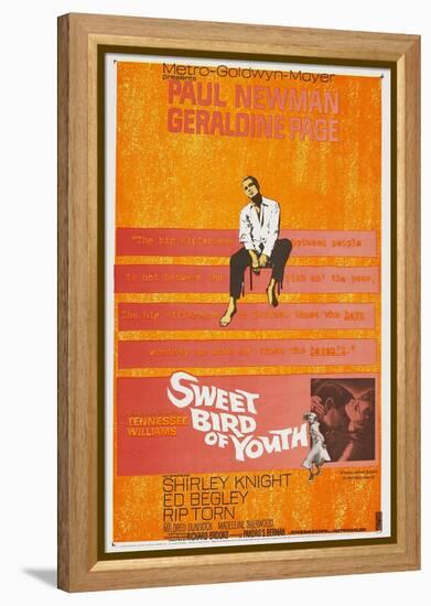 Sweet Bird of Youth, 1962, Directed by Richard Brooks-null-Framed Premier Image Canvas