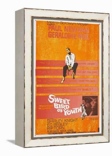 Sweet Bird of Youth, 1962, Directed by Richard Brooks-null-Framed Premier Image Canvas