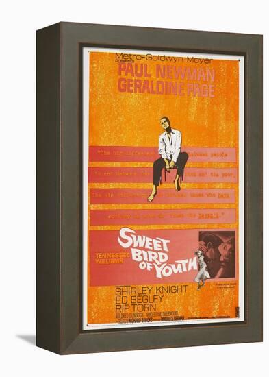 Sweet Bird of Youth, 1962, Directed by Richard Brooks-null-Framed Premier Image Canvas