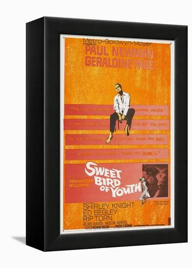 Sweet Bird of Youth, 1962, Directed by Richard Brooks-null-Framed Premier Image Canvas