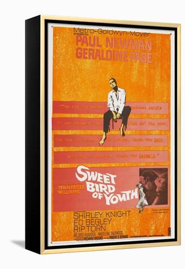 Sweet Bird of Youth, 1962, Directed by Richard Brooks-null-Framed Premier Image Canvas
