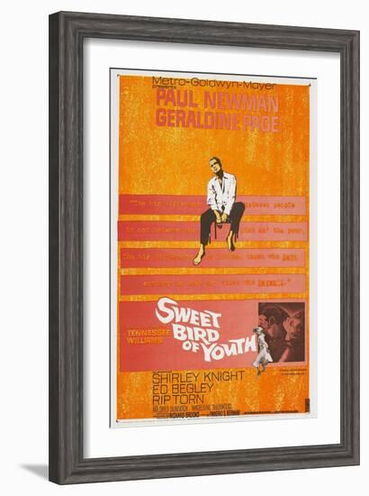 Sweet Bird of Youth, 1962, Directed by Richard Brooks-null-Framed Giclee Print