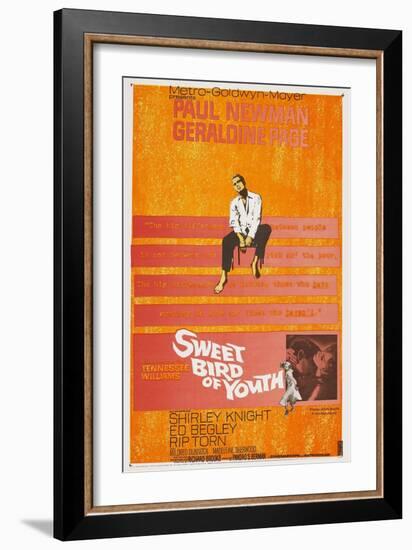 Sweet Bird of Youth, 1962, Directed by Richard Brooks-null-Framed Giclee Print