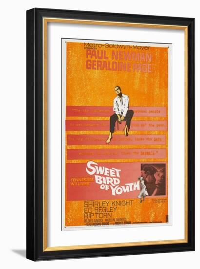 Sweet Bird of Youth, 1962, Directed by Richard Brooks-null-Framed Giclee Print