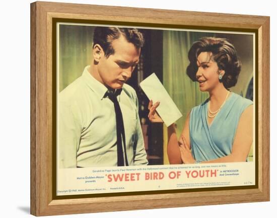 Sweet Bird of Youth, 1962-null-Framed Stretched Canvas