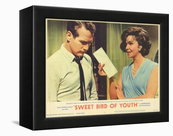 Sweet Bird of Youth, 1962-null-Framed Stretched Canvas