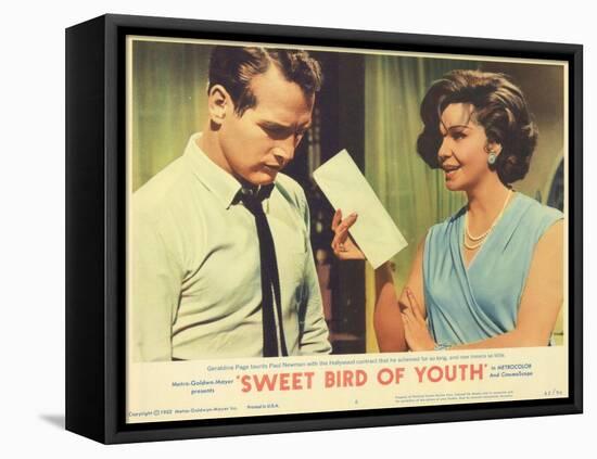 Sweet Bird of Youth, 1962-null-Framed Stretched Canvas