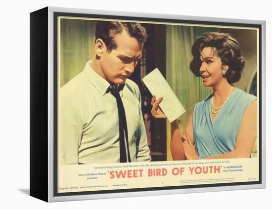 Sweet Bird of Youth, 1962-null-Framed Stretched Canvas