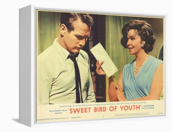 Sweet Bird of Youth, 1962-null-Framed Stretched Canvas