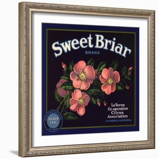 Sweet Briar Brand - La Verne, California - Citrus Crate Label-Lantern Press-Framed Art Print