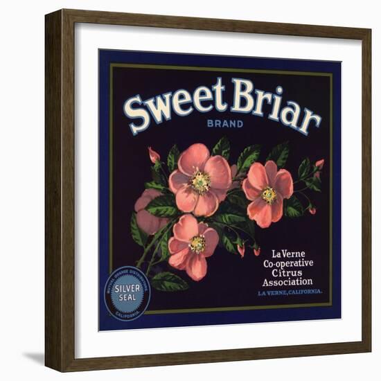 Sweet Briar Brand - La Verne, California - Citrus Crate Label-Lantern Press-Framed Art Print