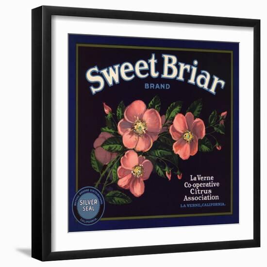 Sweet Briar Brand - La Verne, California - Citrus Crate Label-Lantern Press-Framed Art Print