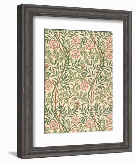 sweet Briar' Design for Wallpaper, Printed by John Henry Dearle (1860-1932) 1917-William Morris-Framed Premium Giclee Print