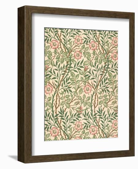 sweet Briar' Design for Wallpaper, Printed by John Henry Dearle (1860-1932) 1917-William Morris-Framed Premium Giclee Print