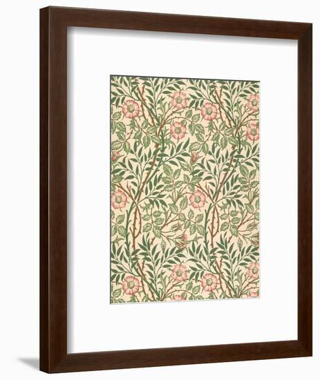 sweet Briar' Design for Wallpaper, Printed by John Henry Dearle (1860-1932) 1917-William Morris-Framed Premium Giclee Print