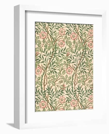 sweet Briar' Design for Wallpaper, Printed by John Henry Dearle (1860-1932) 1917-William Morris-Framed Premium Giclee Print