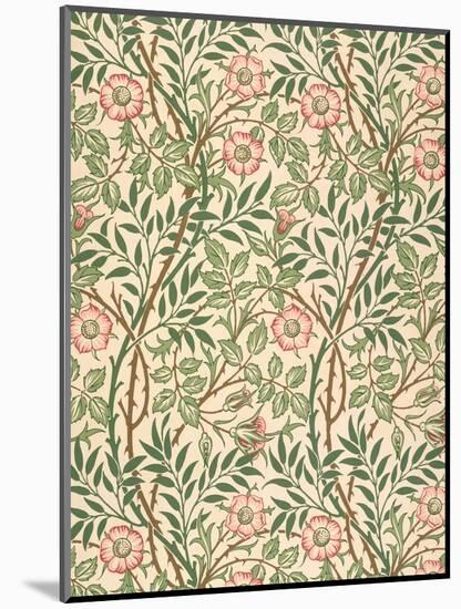 sweet Briar' Design for Wallpaper, Printed by John Henry Dearle (1860-1932) 1917-William Morris-Mounted Premium Giclee Print