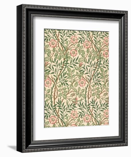 sweet Briar' Design for Wallpaper, Printed by John Henry Dearle (1860-1932) 1917-William Morris-Framed Premium Giclee Print