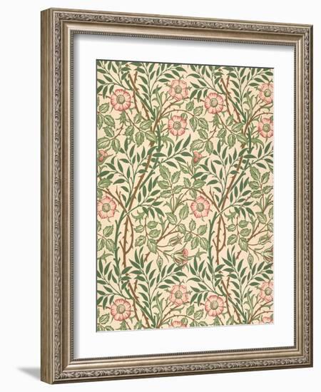 sweet Briar' Design for Wallpaper, Printed by John Henry Dearle (1860-1932) 1917-William Morris-Framed Giclee Print