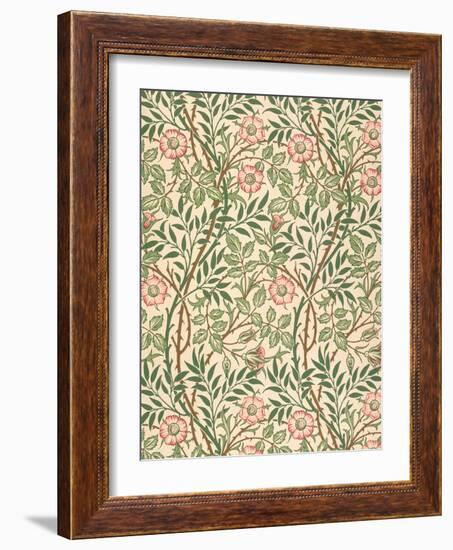 sweet Briar' Design for Wallpaper, Printed by John Henry Dearle (1860-1932) 1917-William Morris-Framed Giclee Print