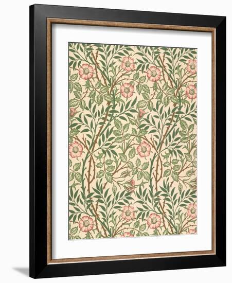 sweet Briar' Design for Wallpaper, Printed by John Henry Dearle (1860-1932) 1917-William Morris-Framed Giclee Print