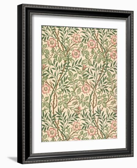 sweet Briar' Design for Wallpaper, Printed by John Henry Dearle (1860-1932) 1917-William Morris-Framed Giclee Print