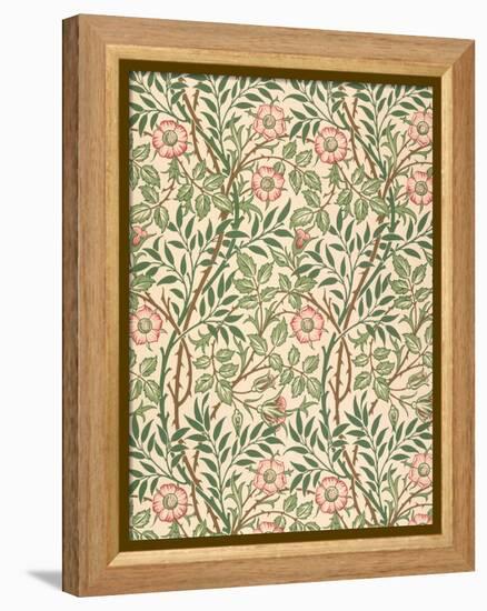 sweet Briar' Design for Wallpaper, Printed by John Henry Dearle (1860-1932) 1917-William Morris-Framed Premier Image Canvas