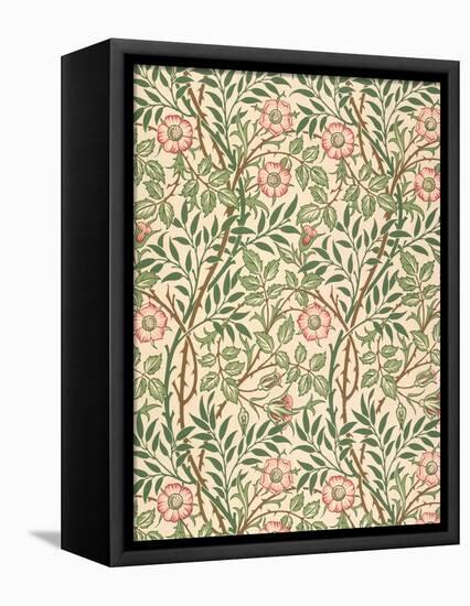 sweet Briar' Design for Wallpaper, Printed by John Henry Dearle (1860-1932) 1917-William Morris-Framed Premier Image Canvas