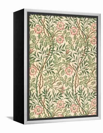 sweet Briar' Design for Wallpaper, Printed by John Henry Dearle (1860-1932) 1917-William Morris-Framed Premier Image Canvas