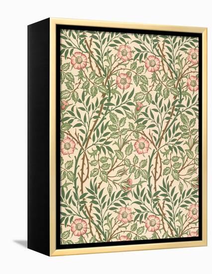 sweet Briar' Design for Wallpaper, Printed by John Henry Dearle (1860-1932) 1917-William Morris-Framed Premier Image Canvas