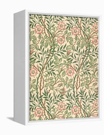 sweet Briar' Design for Wallpaper, Printed by John Henry Dearle (1860-1932) 1917-William Morris-Framed Premier Image Canvas