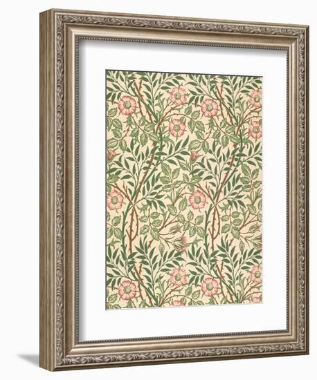 sweet Briar' Design for Wallpaper, Printed by John Henry Dearle (1860-1932) 1917-William Morris-Framed Giclee Print