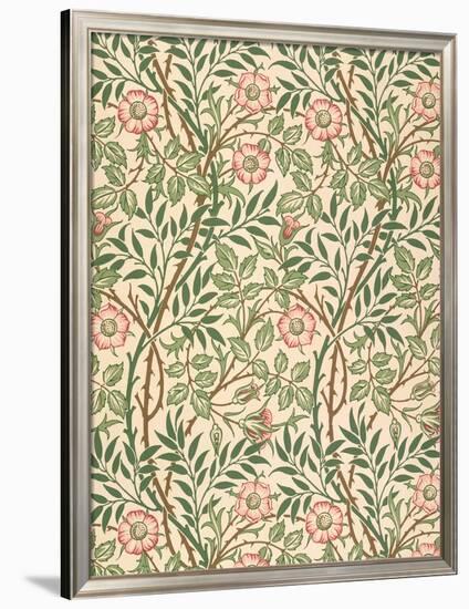 sweet Briar' Design for Wallpaper, Printed by John Henry Dearle (1860-1932) 1917-William Morris-Framed Premium Giclee Print