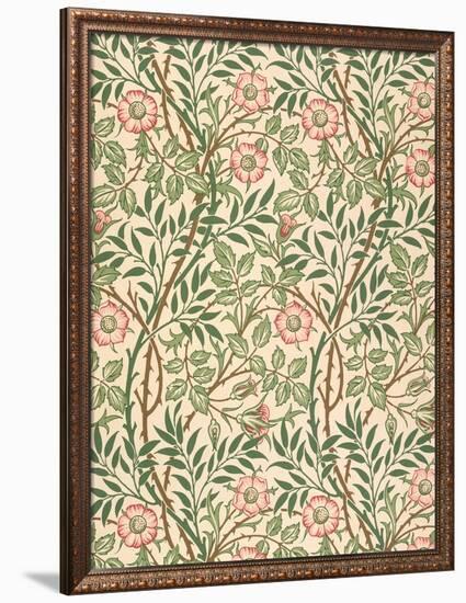 sweet Briar' Design for Wallpaper, Printed by John Henry Dearle (1860-1932) 1917-William Morris-Framed Premium Giclee Print