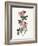 Sweet Briar-Gwendolyn Babbitt-Framed Art Print