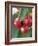 Sweet Cherries on the Branch-Vladimir Shulevsky-Framed Photographic Print