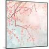 Sweet Cherry Blossoms IV-Evelia Designs-Mounted Art Print