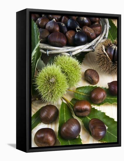 Sweet Chestnuts-Nico Tondini-Framed Premier Image Canvas