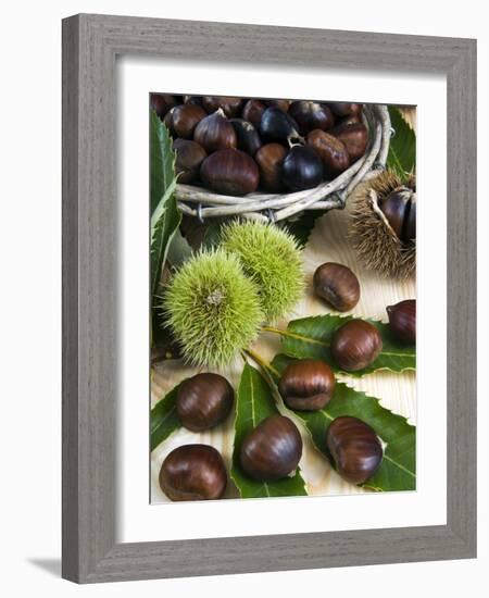 Sweet Chestnuts-Nico Tondini-Framed Photographic Print