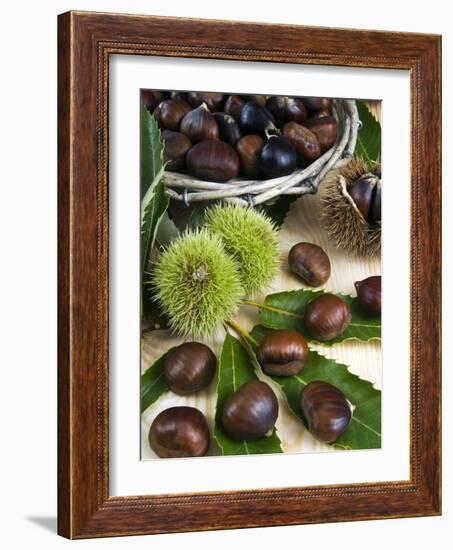 Sweet Chestnuts-Nico Tondini-Framed Photographic Print