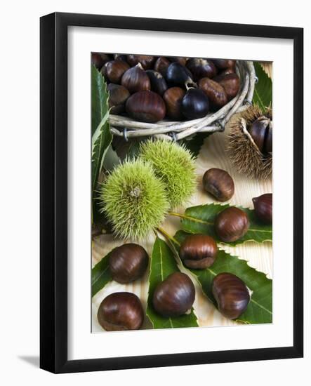 Sweet Chestnuts-Nico Tondini-Framed Photographic Print