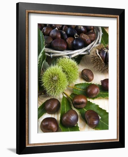 Sweet Chestnuts-Nico Tondini-Framed Photographic Print