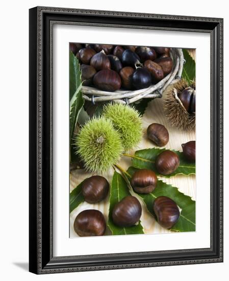 Sweet Chestnuts-Nico Tondini-Framed Photographic Print