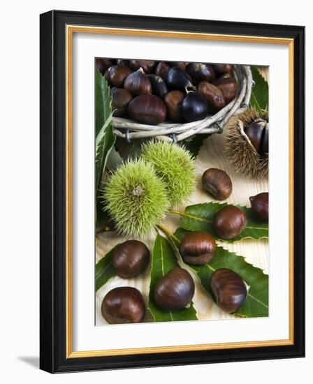 Sweet Chestnuts-Nico Tondini-Framed Photographic Print