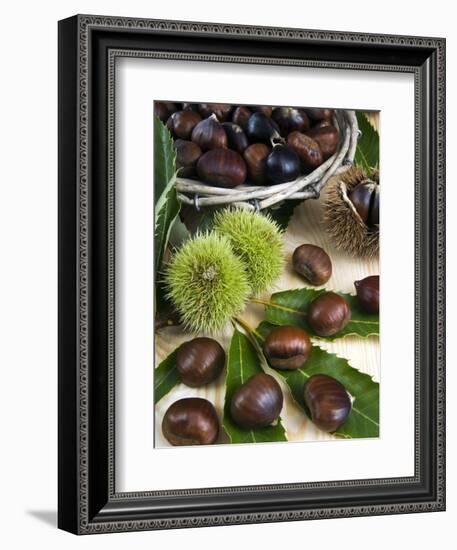 Sweet Chestnuts-Nico Tondini-Framed Photographic Print